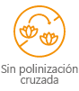 Mallas agrícolas que evitan la polinización cruzada