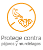 Mallas agrícolas que protegen contra pájaros y murciélagos