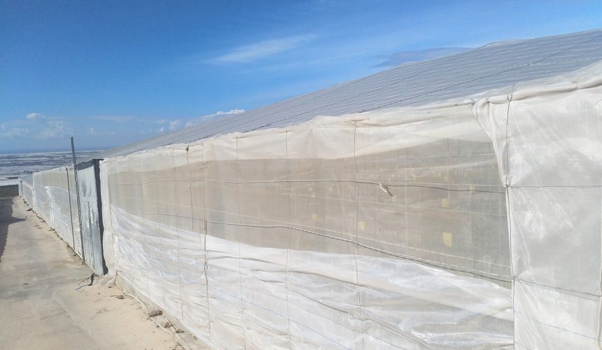 Galeria proyectos greennets 14