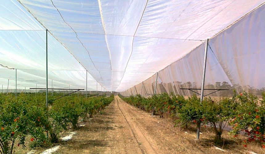 Galeria proyectos greennets 4