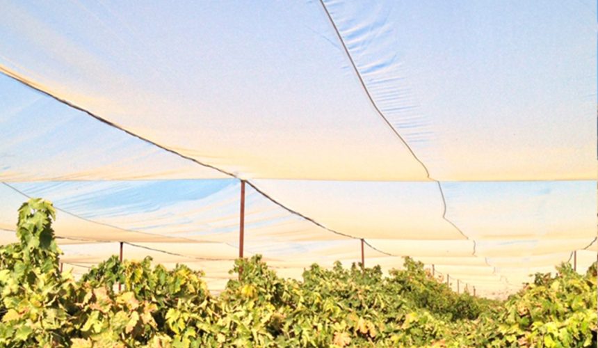Galeria proyectos greennets 9