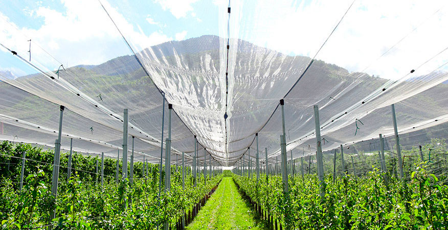 Mallas vivero greennetsagro
