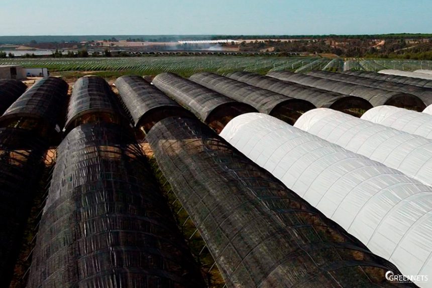 ¿Qué es la agricultura inteligente y por qué apostar por ella? ¿Qué es la agricultura inteligente y por qué apostar por ella?