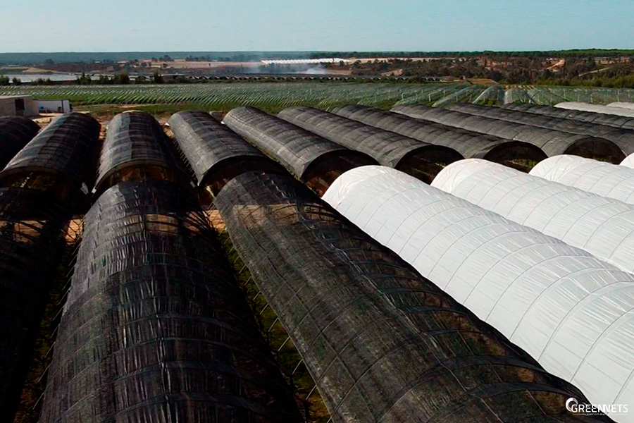 Artículo agricultura inteligente