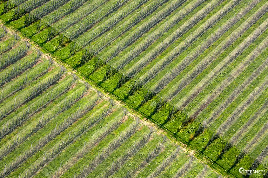 Agricultura protegida como parte da agricultura sustentável Agricultura protegida como parte da agricultura sustentável