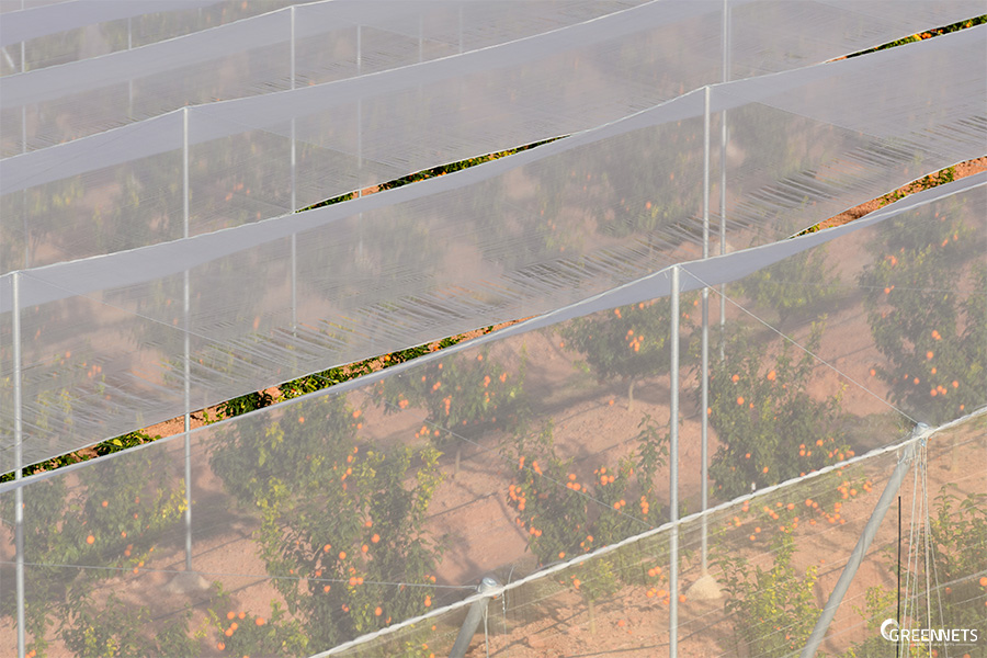 Características y propiedades de las mallas agrícolas