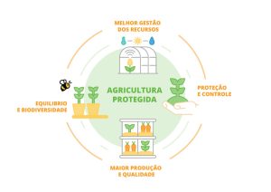 Seca na agricultura news