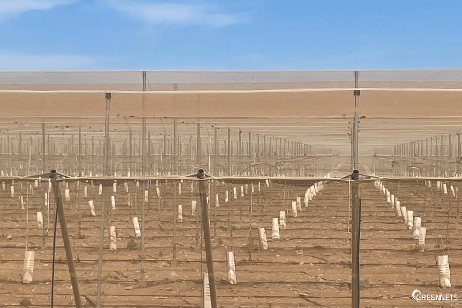 Aspectos sobre mallas antiinsectos